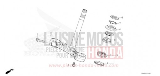 PIANTONE STERZO (CB500FAN/P) CB500FAN di 2022